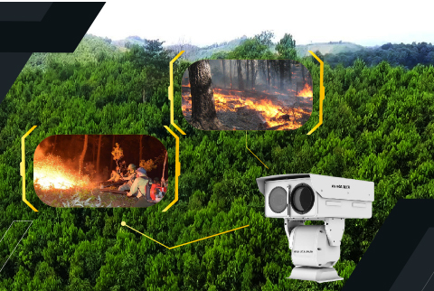 Giải pháp lắp đặt camera AI cảnh báo cháy rừng - bảo vệ rừng